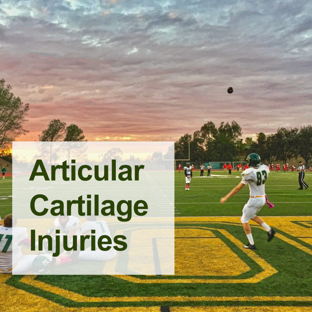 Articular Cartilage Injuries Dr. Daniel A. Romanelli Orthopedic Surgeon Rio Grande Valley, TX